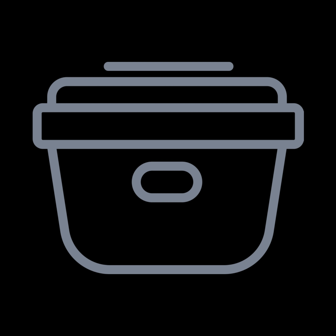 3000 Series Mini Rice Cooker